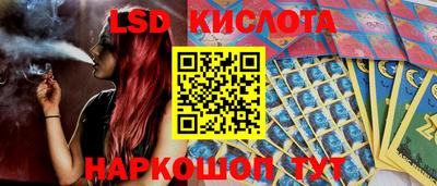 молекула духа Кулебаки