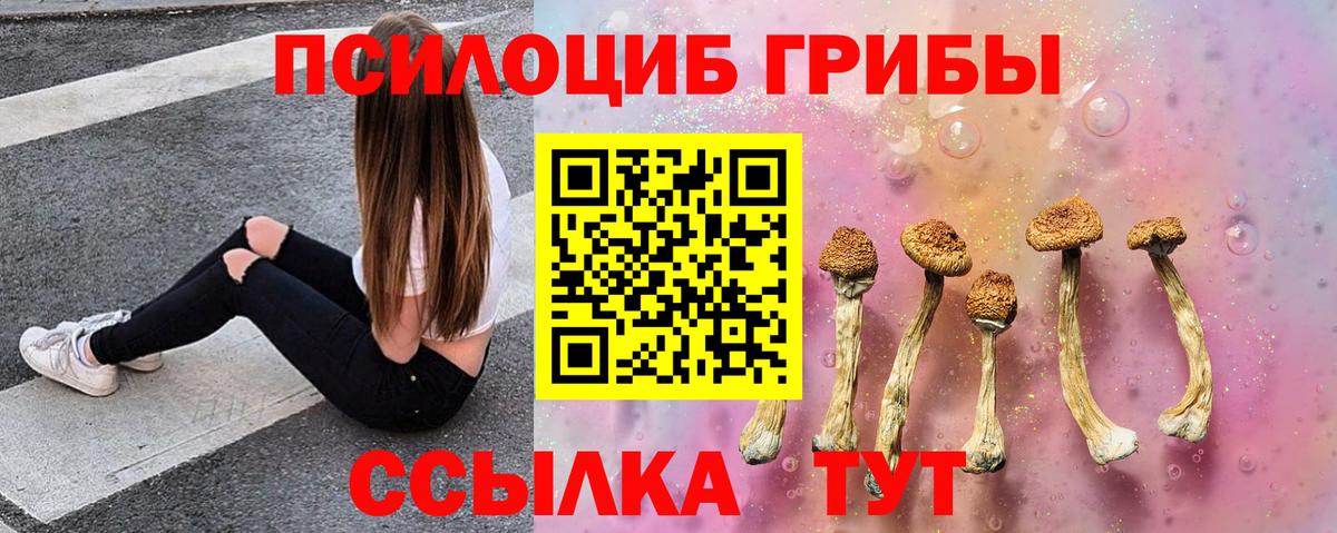 Галлюциногенные грибы Psilocybine cubensis  Вход с VPN  Псилоцибиновые грибы GOLDEN TEACHER  продажа наркотиков  Геленджик 