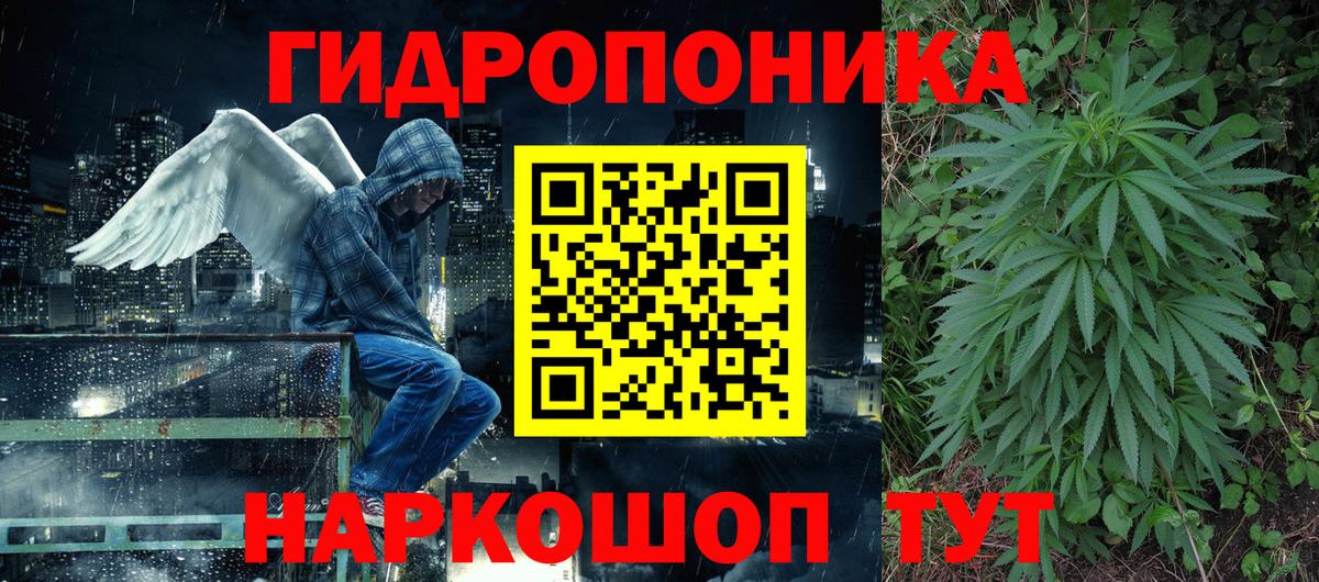 Геленджик  МАРИХУАНА тримм  Канабис планчик  Вход с VPN 